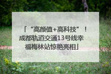 “高颜值+高科技”！成都轨道交通13号线幸福梅林站惊艳亮相