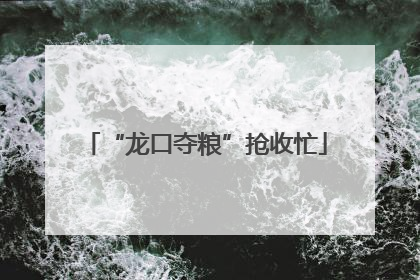 “龙口夺粮”抢收忙
