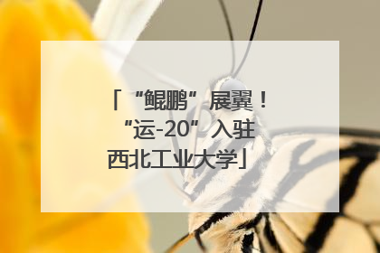 “鲲鹏”展翼！“运-20”入驻西北工业大学