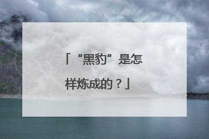 “黑豹”是怎样炼成的？