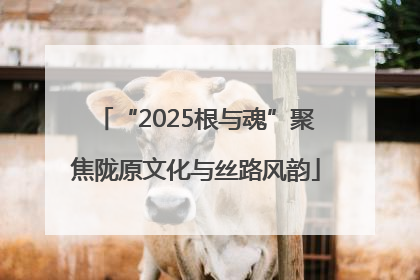 “2025根与魂”聚焦陇原文化与丝路风韵