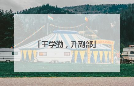 王学勤，升副部
