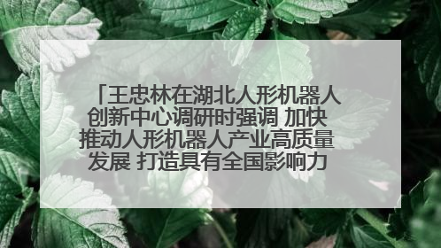 王忠林在湖北人形机器人创新中心调研时强调 加快推动人形机器人产业高质量发展 打造具有全国影响力的研发创新基地