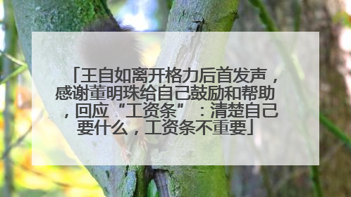 王自如离开格力后首发声，感谢董明珠给自己鼓励和帮助，回应“工资条”：清楚自己要什么，工资条不重要