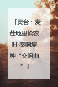 灵台：麦茬地里抢农时 奏响复种“交响曲”