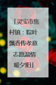 灵宝市焦村镇：粽叶飘香传孝意 志愿温情暖夕阳