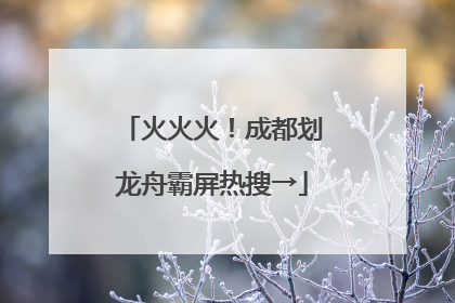 火火火！成都划龙舟霸屏热搜→