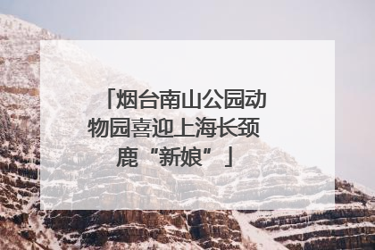 烟台南山公园动物园喜迎上海长颈鹿“新娘”