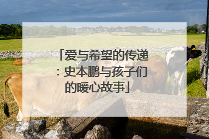 爱与希望的传递：史本鹏与孩子们的暖心故事