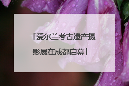 爱尔兰考古遗产摄影展在成都启幕