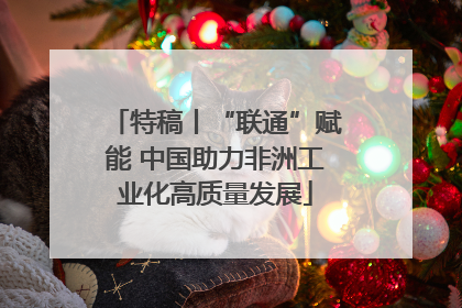 特稿丨“联通”赋能 中国助力非洲工业化高质量发展