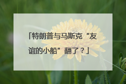 特朗普与马斯克“友谊的小船”翻了？