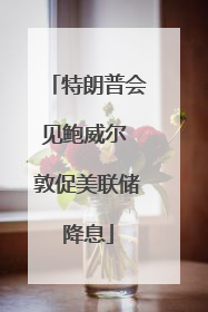 特朗普会见鲍威尔 敦促美联储降息
