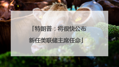 特朗普：将很快公布新任美联储主席任命