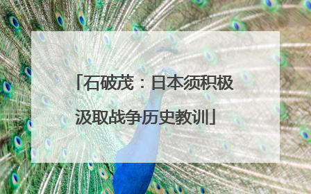 石破茂：日本须积极汲取战争历史教训
