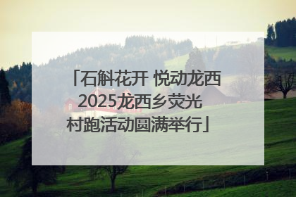 石斛花开 悦动龙西 2025龙西乡荧光村跑活动圆满举行