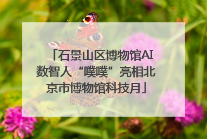 石景山区博物馆AI数智人“噗噗”亮相北京市博物馆科技月