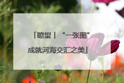 瞭望丨“一张图”成就河海交汇之美