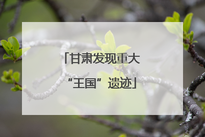 甘肃发现重大“王国”遗迹