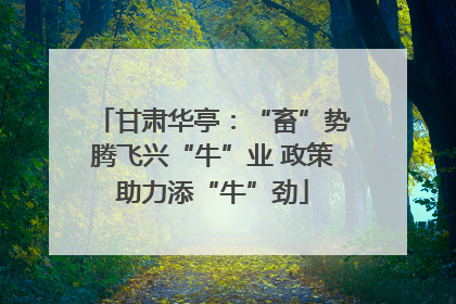 甘肃华亭：“畜”势腾飞兴“牛”业 政策助力添“牛”劲