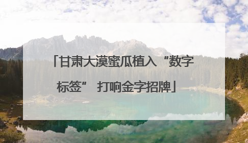 甘肃大漠蜜瓜植入“数字标签” 打响金字招牌