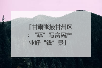 甘肃张掖甘州区：“蔬”写富民产业好“钱”景