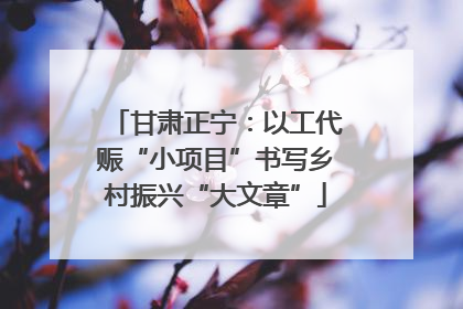 甘肃正宁：以工代赈“小项目”书写乡村振兴“大文章”