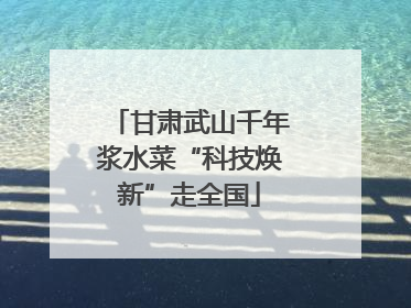 甘肃武山千年浆水菜“科技焕新”走全国