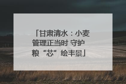 甘肃清水：小麦管理正当时 守护粮“芯”绘丰景