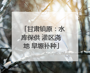 甘肃镇原：水库保供 灌区浇地 旱塬补种