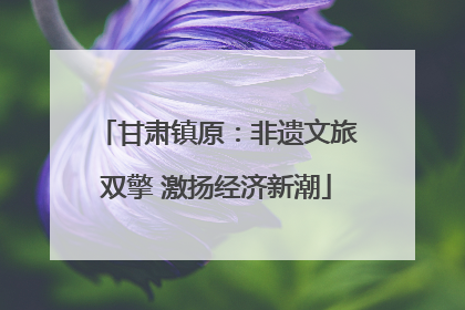甘肃镇原：非遗文旅双擎 激扬经济新潮