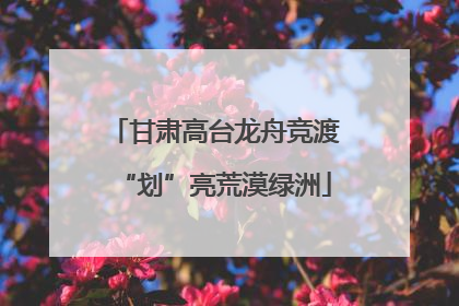 甘肃高台龙舟竞渡“划”亮荒漠绿洲