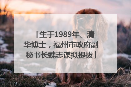 生于1989年、清华博士，福州市政府副秘书长魏志谋拟提拔