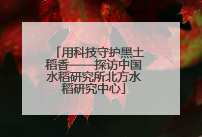 用科技守护黑土稻香——探访中国水稻研究所北方水稻研究中心