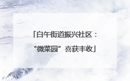 白午街道振兴社区：“微菜园”喜获丰收