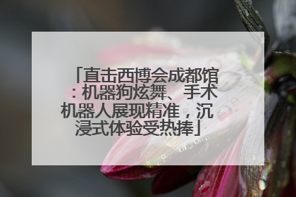 直击西博会成都馆：机器狗炫舞、手术机器人展现精准，沉浸式体验受热捧