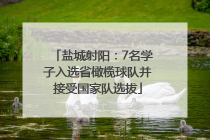 盐城射阳：7名学子入选省橄榄球队并接受国家队选拔