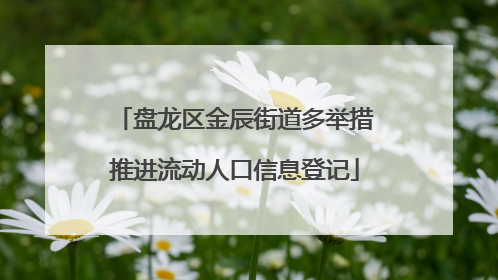 盘龙区金辰街道多举措推进流动人口信息登记
