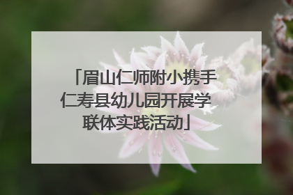 眉山仁师附小携手仁寿县幼儿园开展学联体实践活动