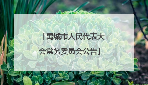 禹城市人民代表大会常务委员会公告