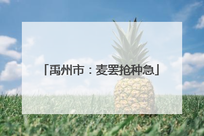 禹州市：麦罢抢种急