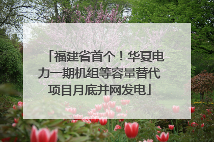 福建省首个！华夏电力一期机组等容量替代项目月底并网发电