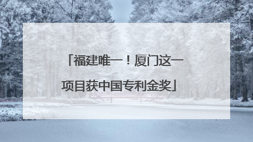 福建唯一！厦门这一项目获中国专利金奖
