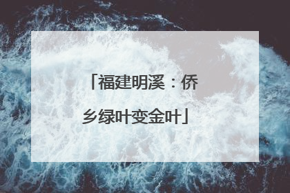 福建明溪：侨乡绿叶变金叶