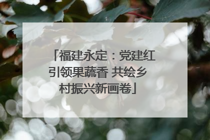 福建永定：党建红引领果蔬香 共绘乡村振兴新画卷