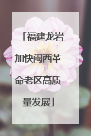 福建龙岩加快闽西革命老区高质量发展