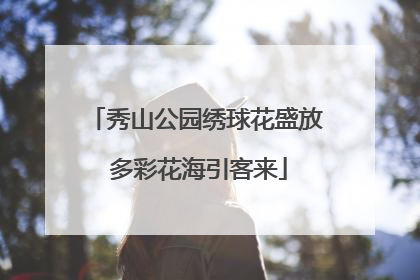 秀山公园绣球花盛放 多彩花海引客来