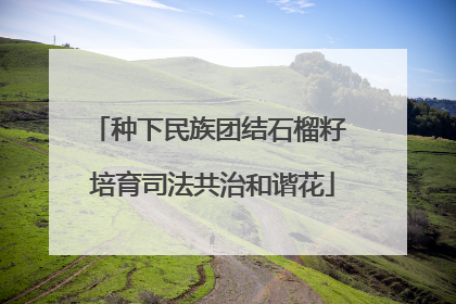 种下民族团结石榴籽 培育司法共治和谐花