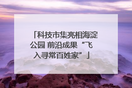 科技市集亮相海淀公园 前沿成果“飞入寻常百姓家”