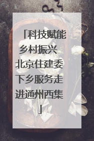 科技赋能乡村振兴 北京住建委下乡服务走进通州西集